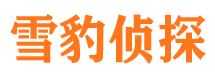 汕尾市私家侦探